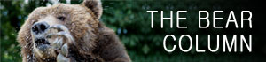 the bear